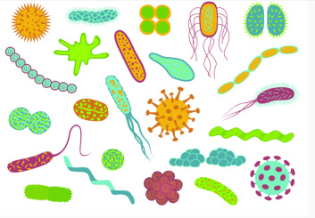 Anti infectives